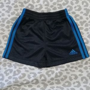 Toddler boys adidas shorts